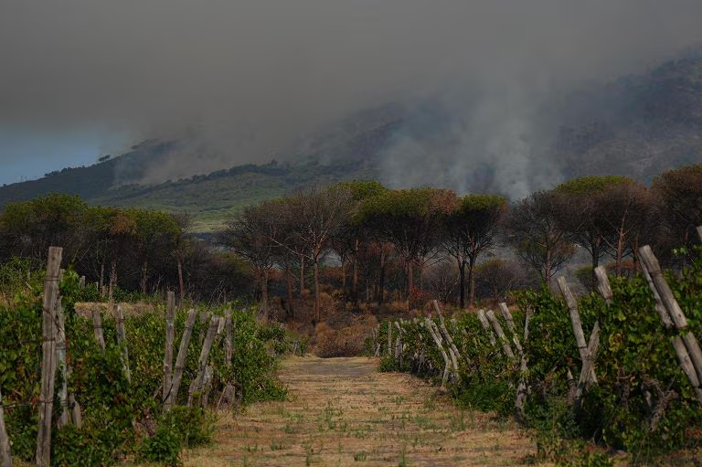 Incendio sul Vesuvio: Canadair in azione, allarme del sindaco di Terzigno